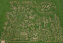 Can you find your way through our 20 acre corn maze at Apple Annie's Produce Farm in Willcox, Arizona?