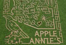 Can you find your way through our 20 acre corn maze at Apple Annie's Produce Farm in Willcox, Arizona?