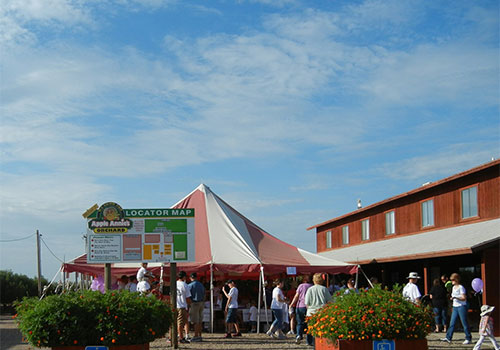 Join us for a day of farm fun at Apple Annie's Orchards in Willcox, AZ.