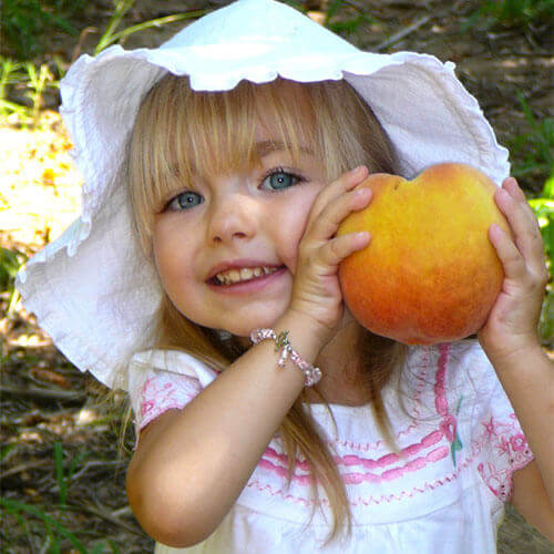 Join us in our pick-your-own peach orchard for farm fresh peaches picked from the branch!