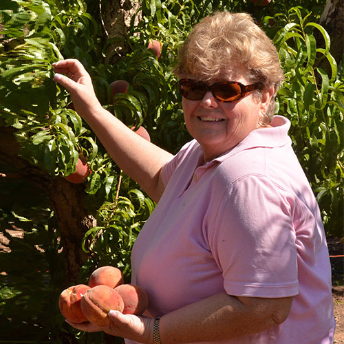 Join us in our pick-your-own peach orchard for farm fresh peaches picked from the branch!