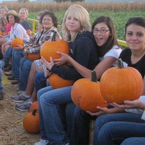 Hop aboard our hayrides and head out into our u-pick pumpkin patch this fall for an afternoon of pick-your-own pumpkins!