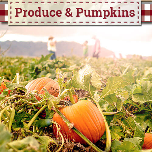 Apple Annie's Produce and Pumpkins in Willcox, AZ.