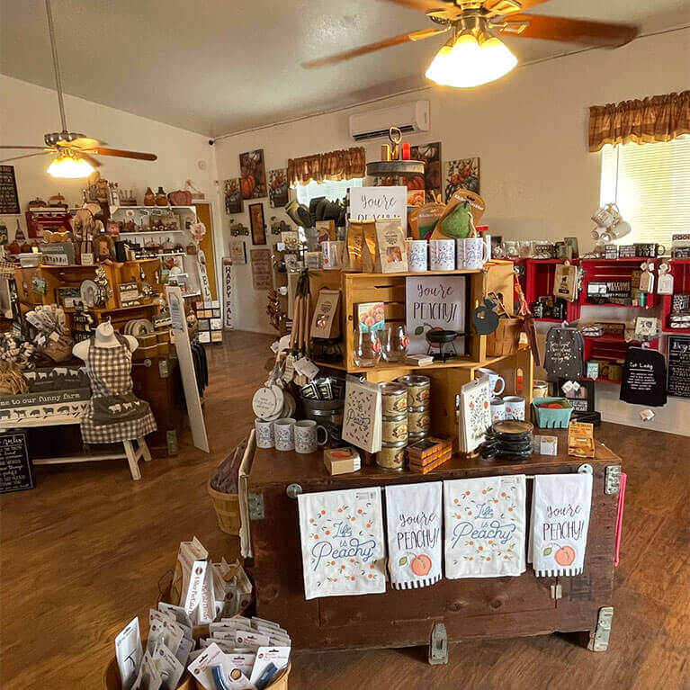 Explore the Apple Annie's Country Store for great gifts, decor items, holiday decor, and delicious jar goods!