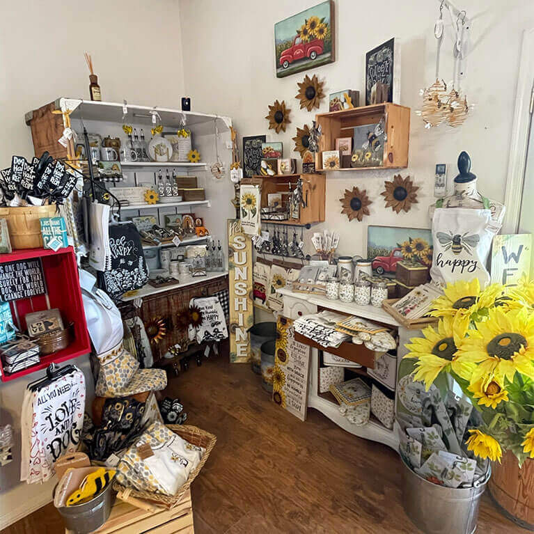 Explore the Apple Annie's Country Store for great gifts, decor items, holiday decor, and delicious jar goods!