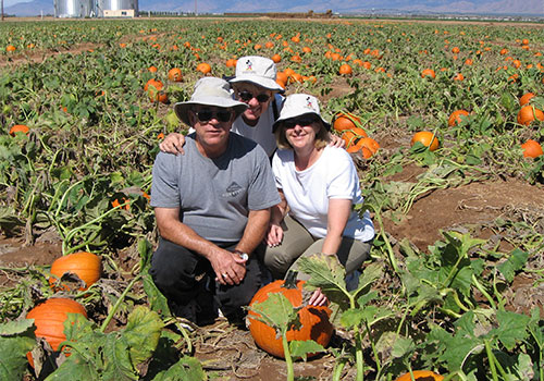 Pick-your own pumpkins at our U-Pick Pumpkin Patch in Willcox, AZ this fall!