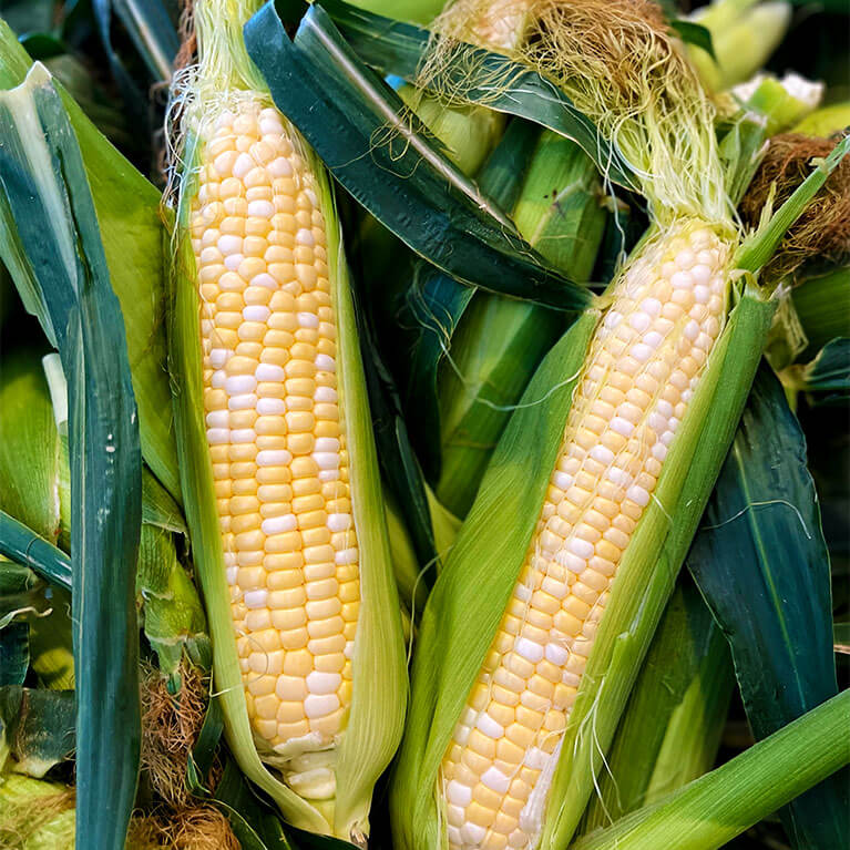 Enjoy freshly picked sweet corn from our Willcox, AZ corn fields.