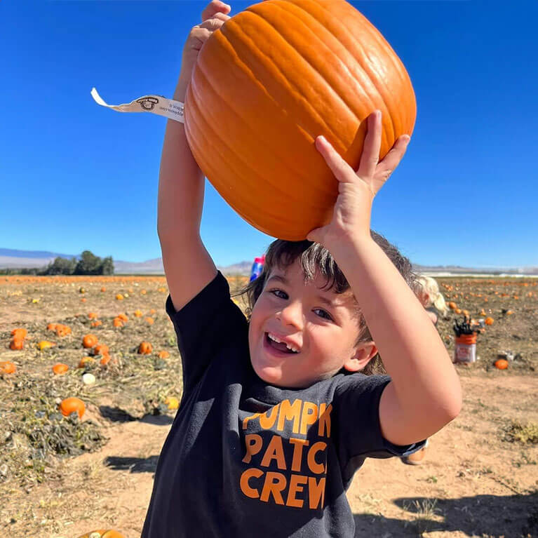 Pick-your-own pumpkins at our Williams Road Produce and Pumpkin Patch!