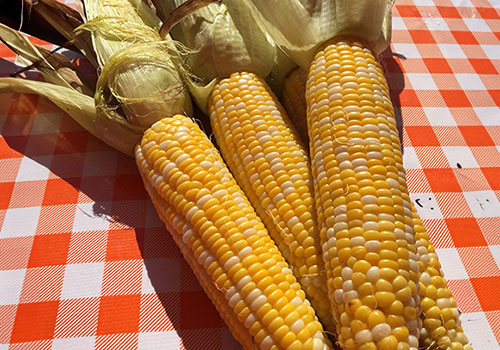 Enjoy our sweet corn fresh from the stalk and roasted to bring out the best flavor!